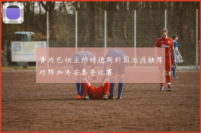 费内巴切主帅特德斯科因治疗缺席对阵加济安泰普比赛